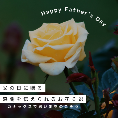 記事のサムネイル