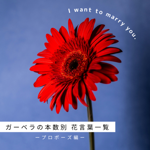 記事のサムネイル