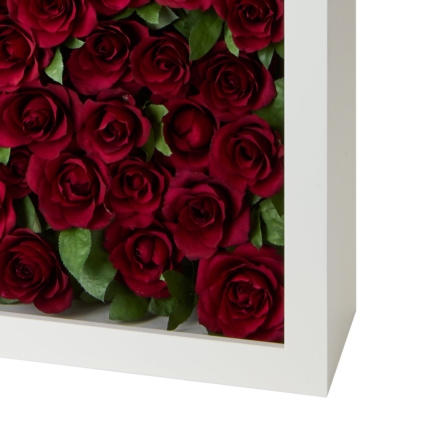 イノセンスホワイト108