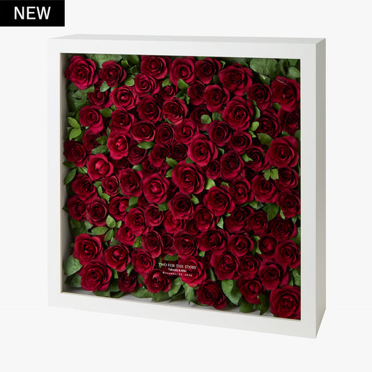 イノセンスホワイト108