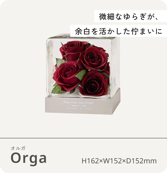 Orga