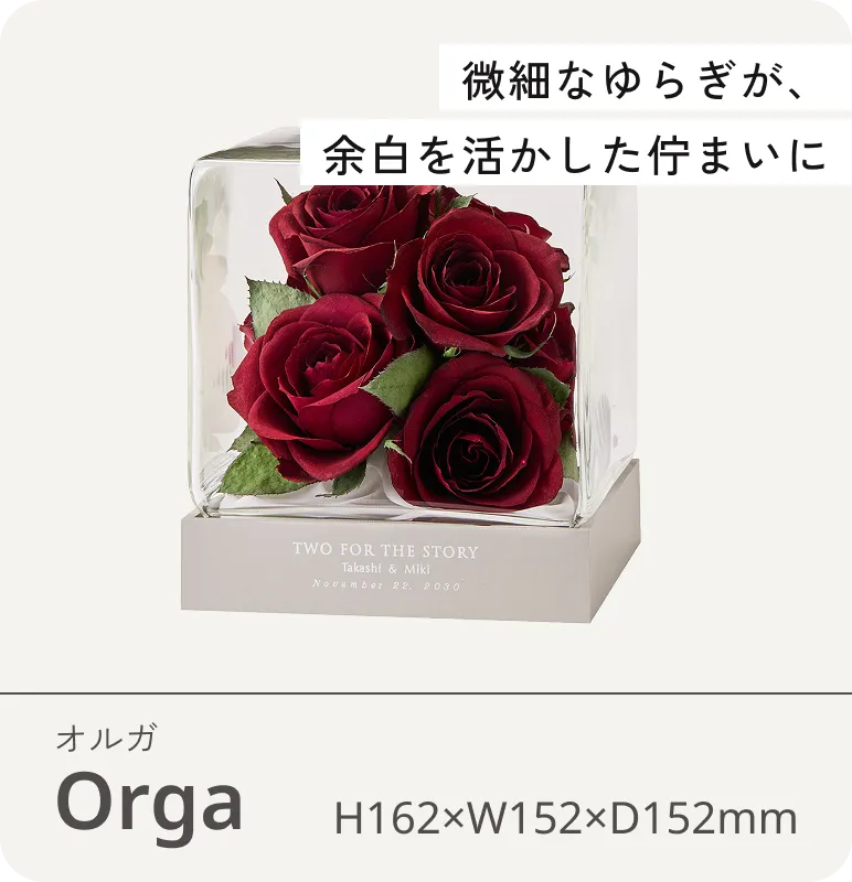 Orga